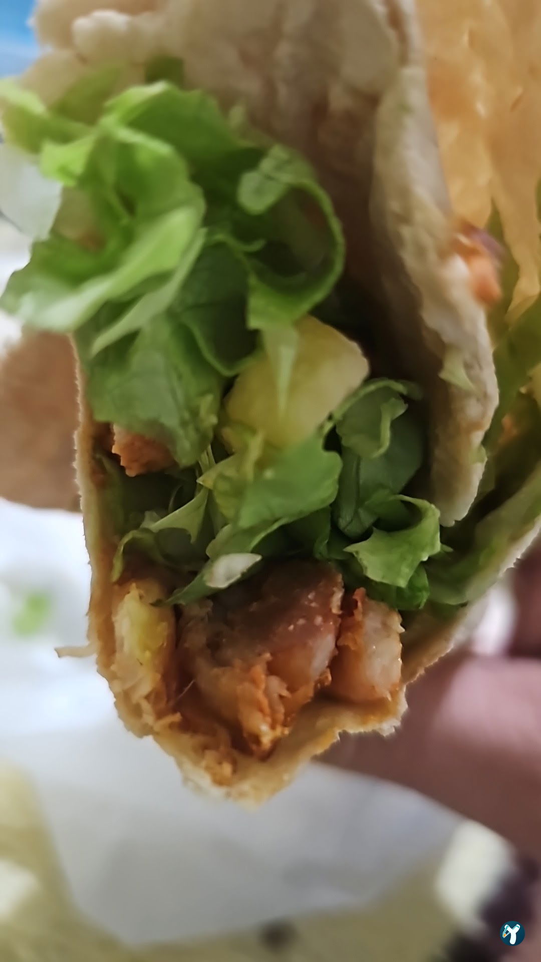 % 100 But Doner Pasa Doner