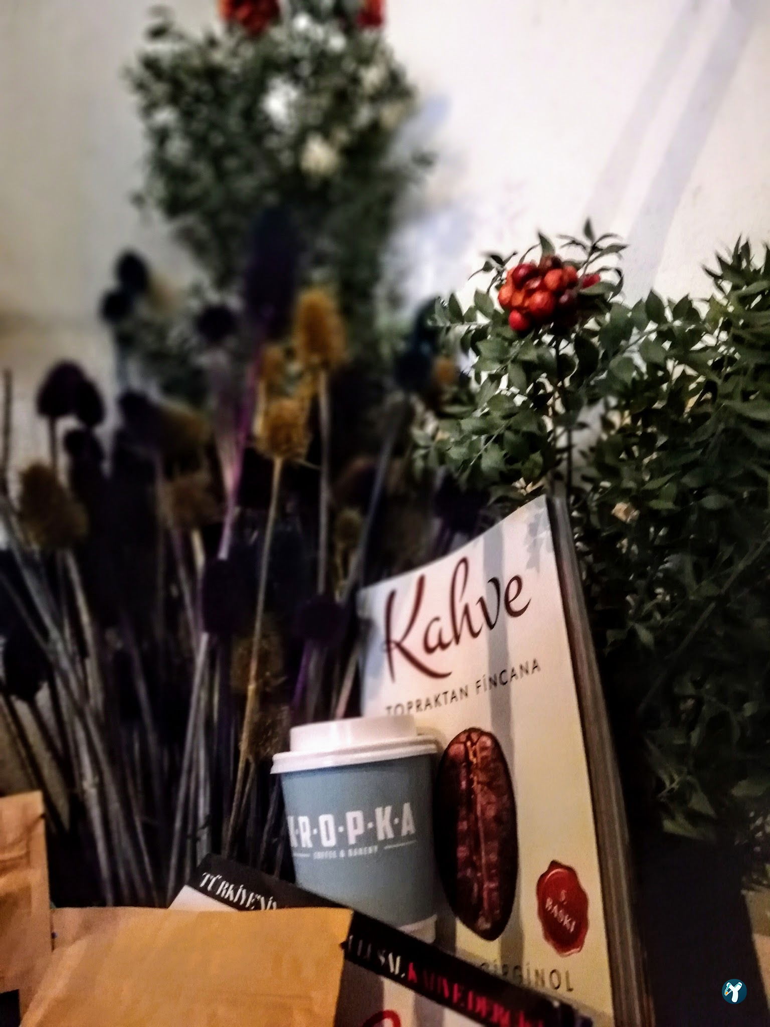 Kropka Coffee