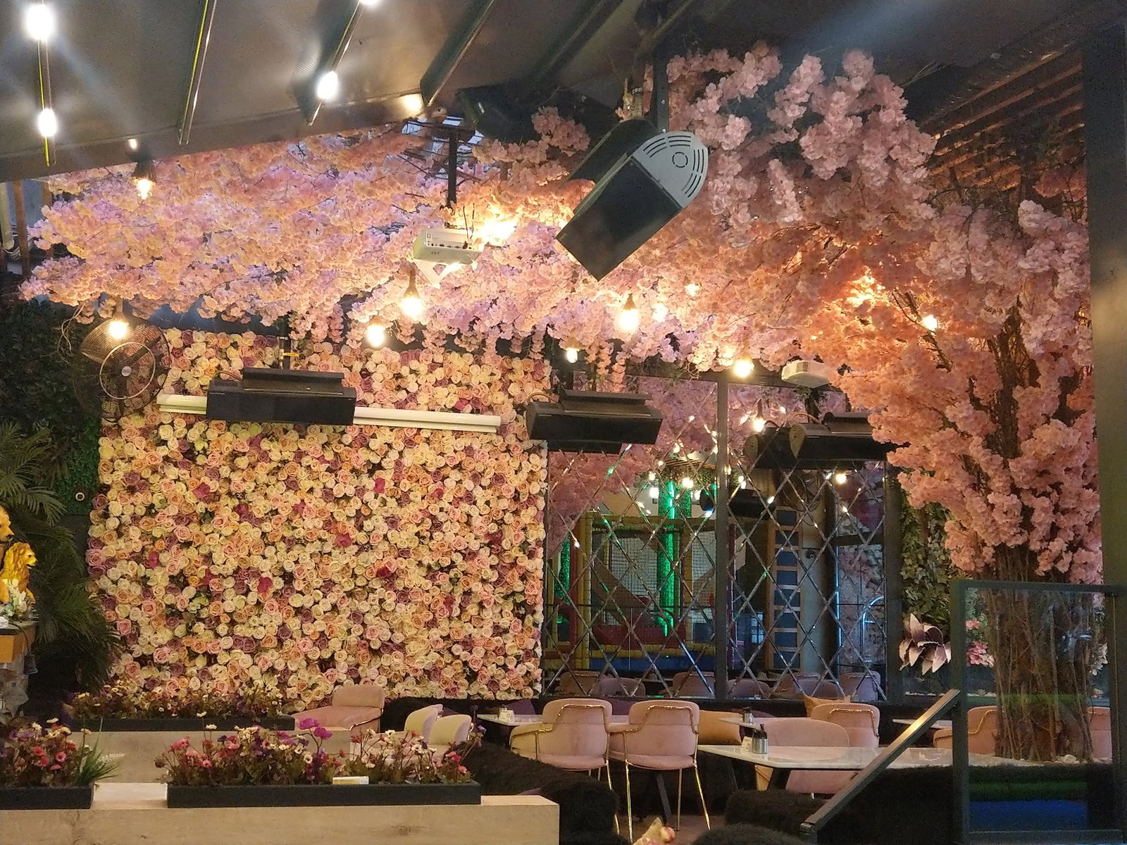 Mahall Cafe & Restaurant