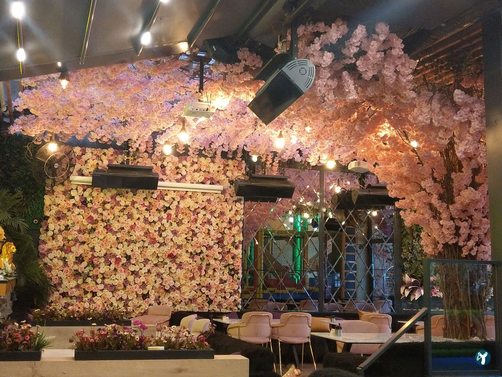 Mahall Cafe & Restaurant
