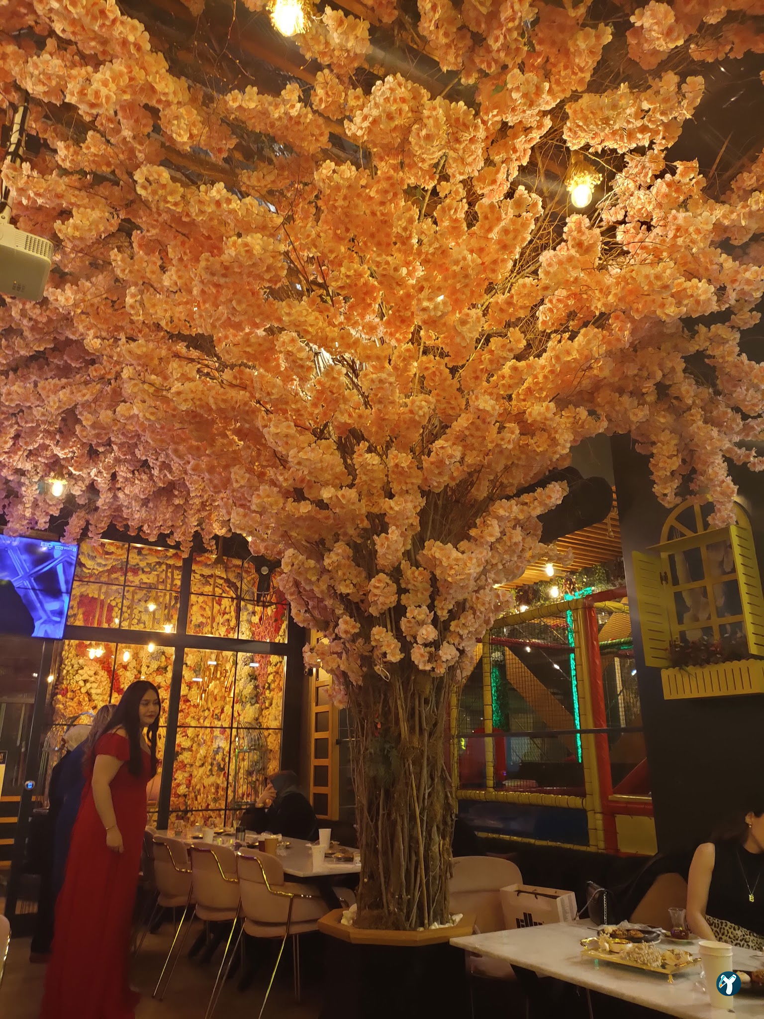 Mahall Cafe & Restaurant