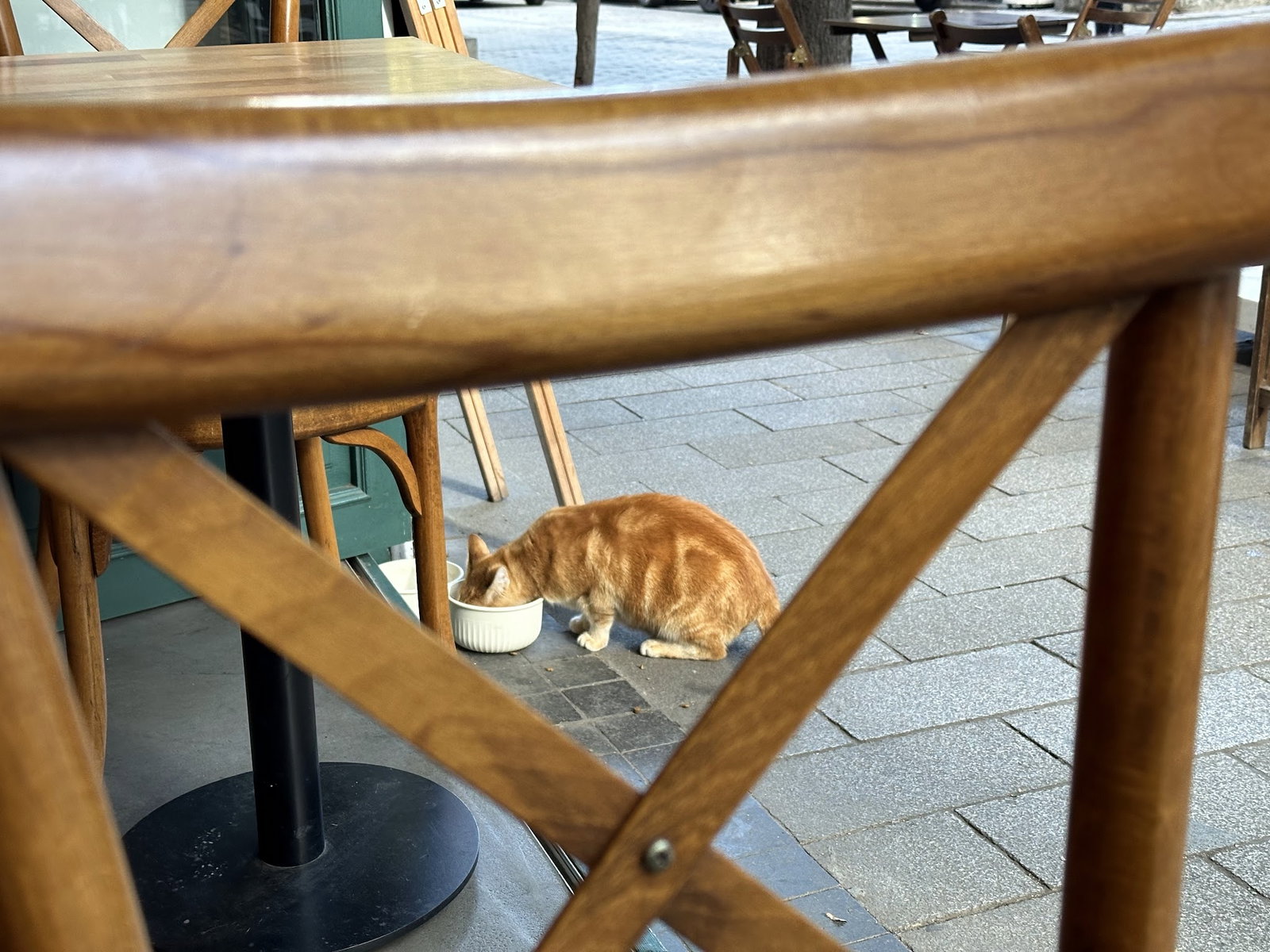 Island Cafe Kuzguncuk