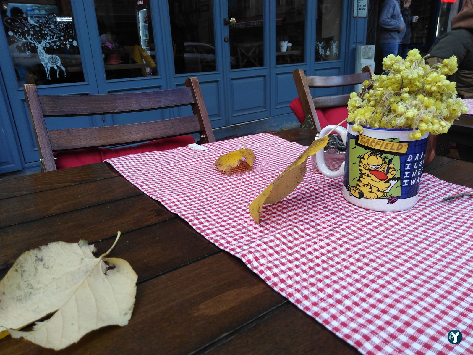 Island Cafe Kuzguncuk