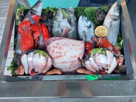 Cansın Fish Restaurant resimleri Cansın Fish Restaurant resimleri