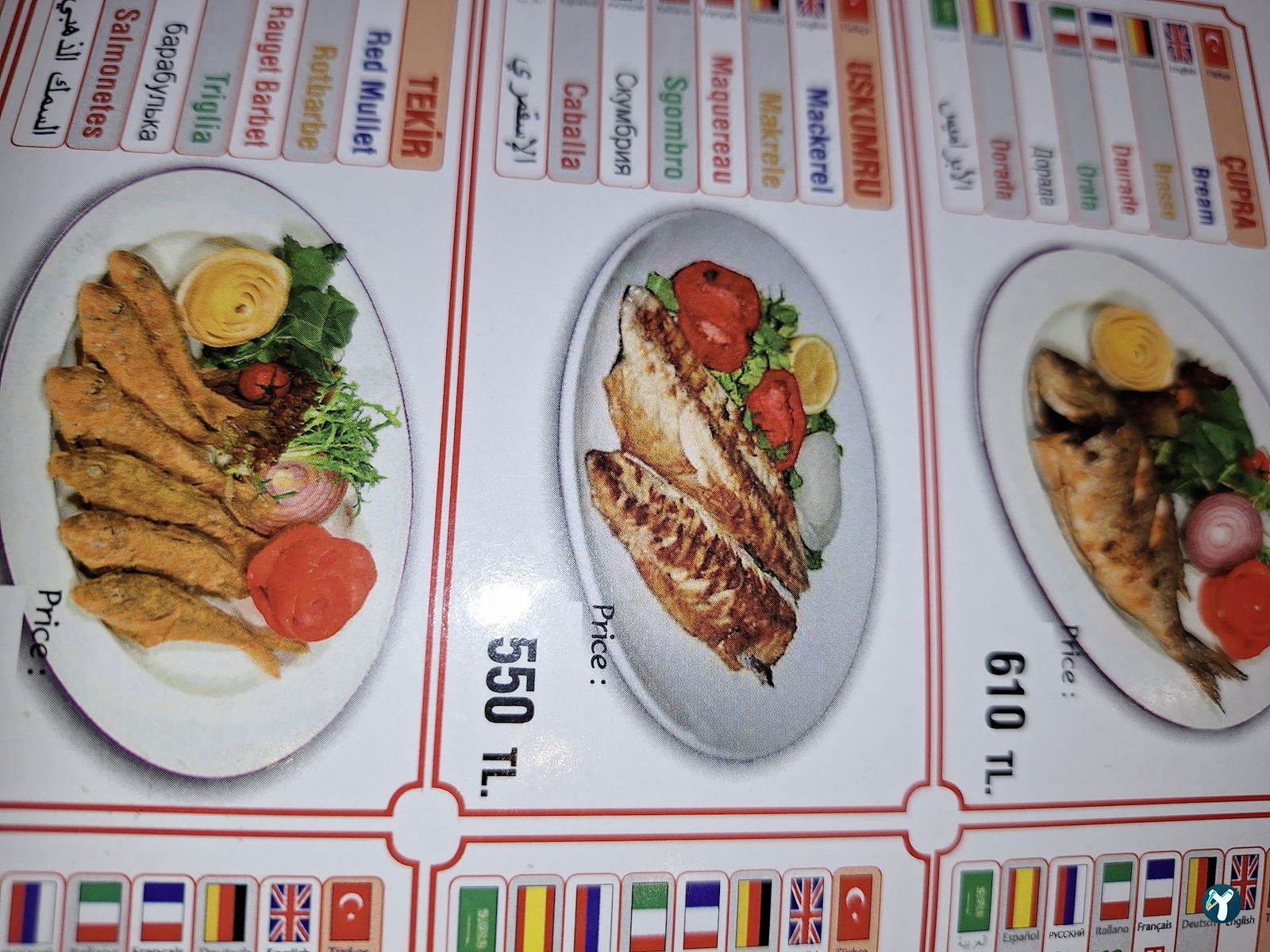 Cansın Fish Restaurant
