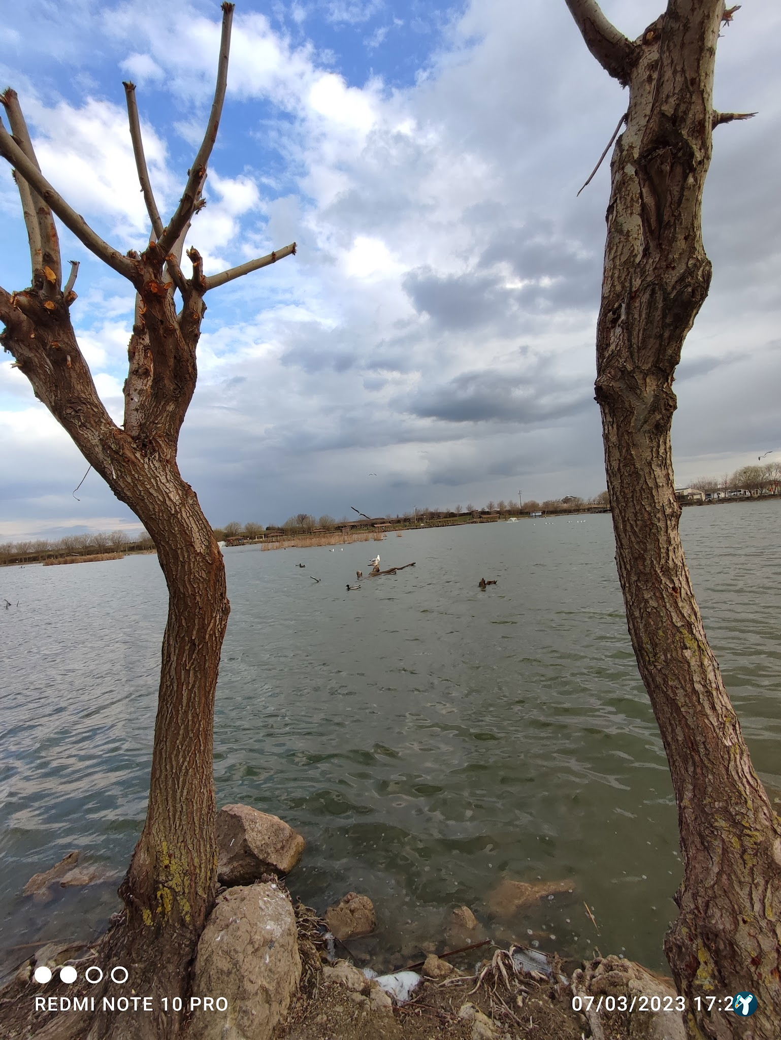 Gölbaşı Piknik Alanı