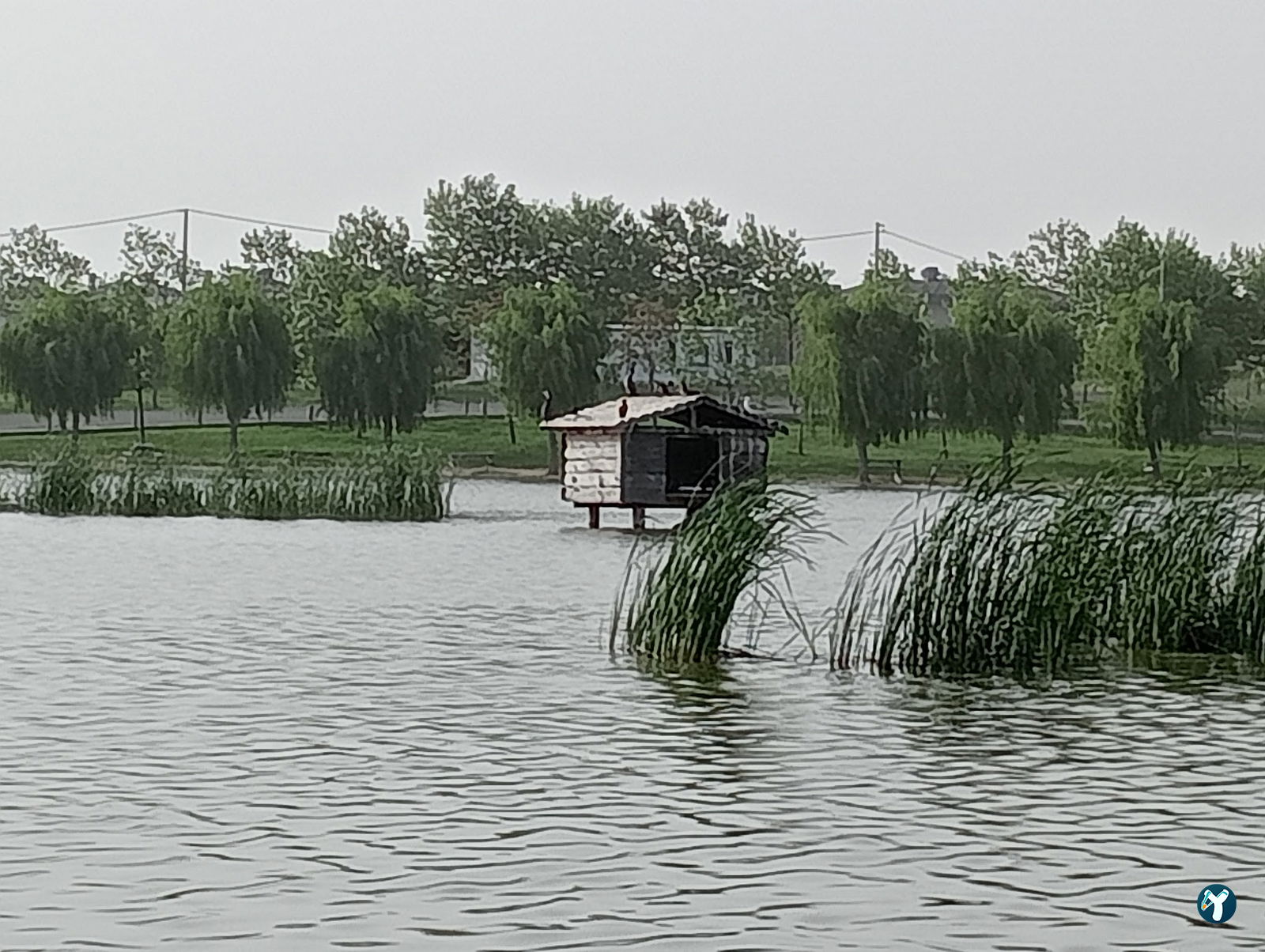 Gölbaşı Piknik Alanı