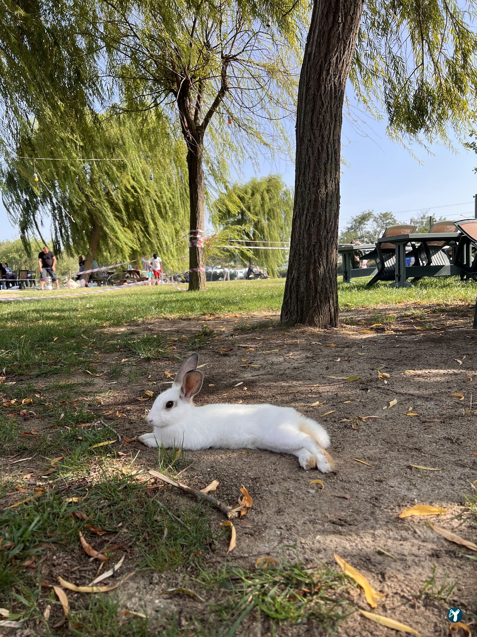 Gölbaşı Piknik Alanı