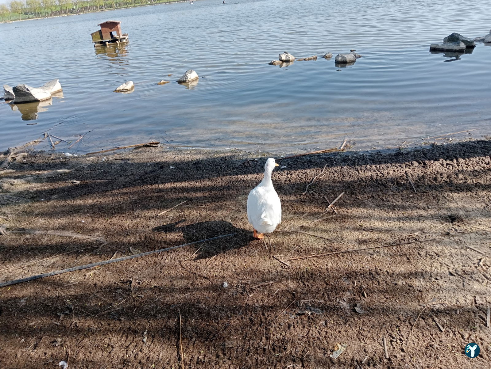 Gölbaşı Piknik Alanı