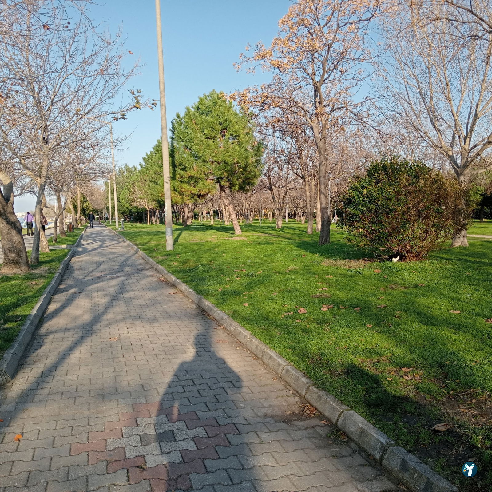 Gölbaşı Piknik Alanı