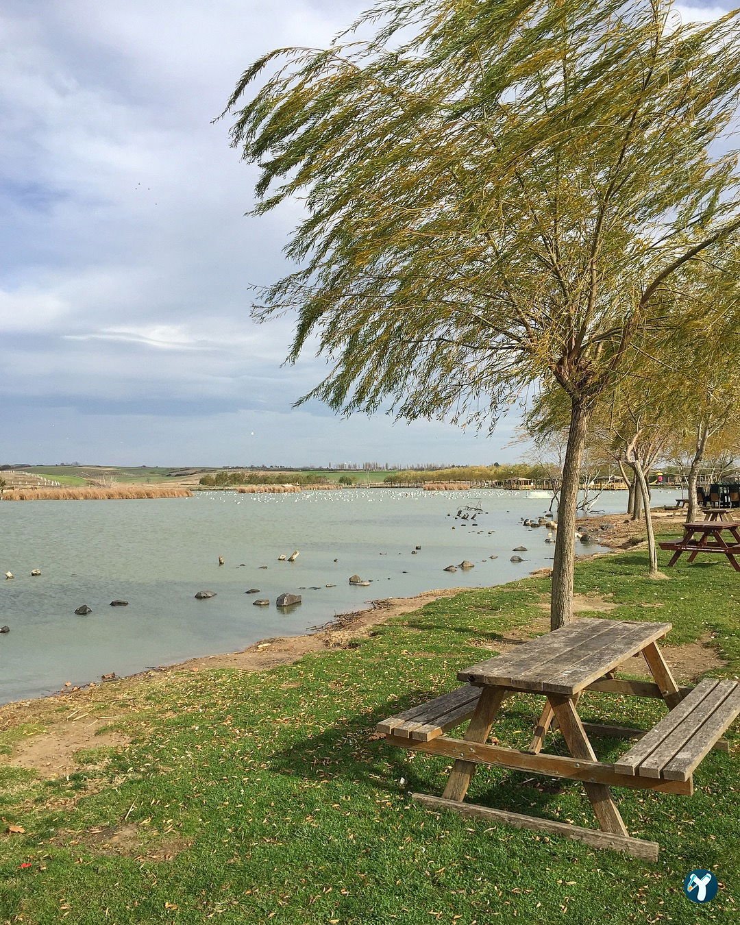 Gölbaşı Piknik Alanı