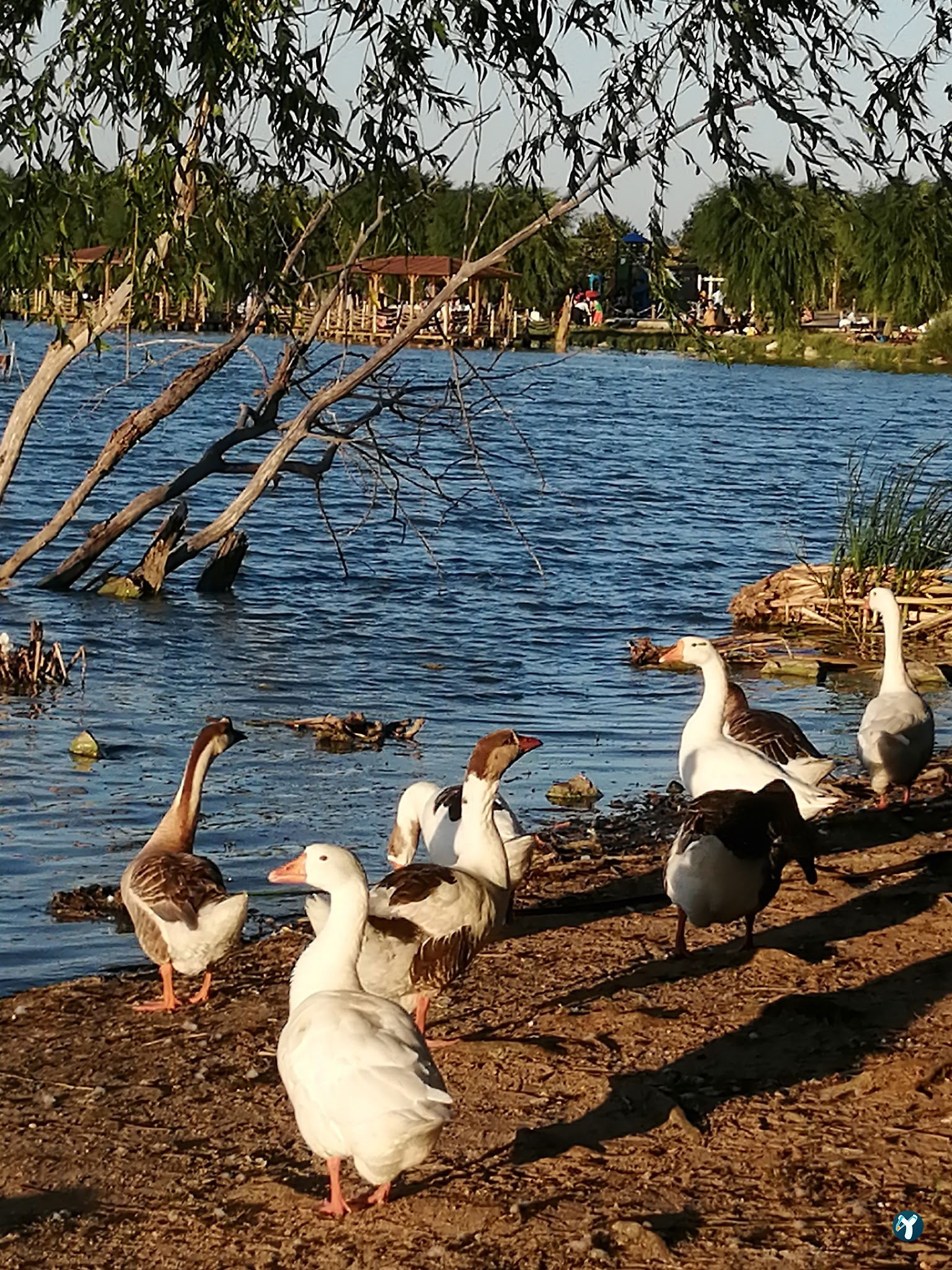 Gölbaşı Piknik Alanı