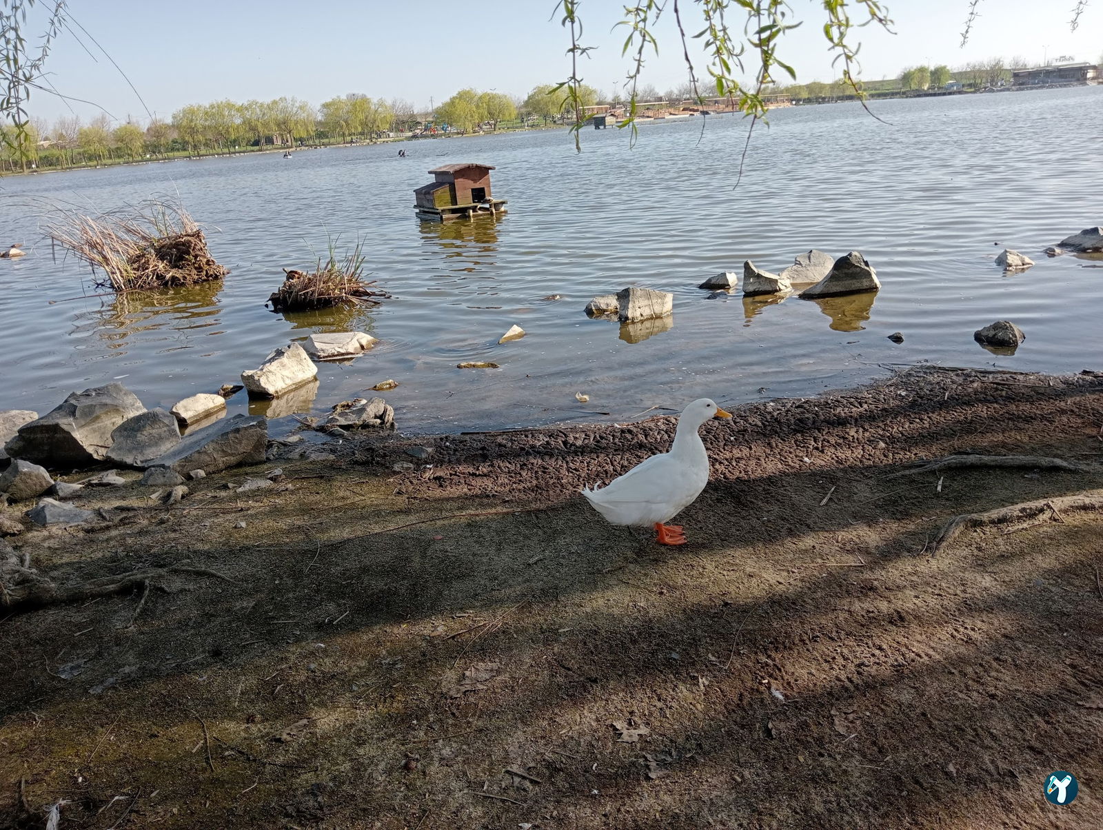 Gölbaşı Piknik Alanı