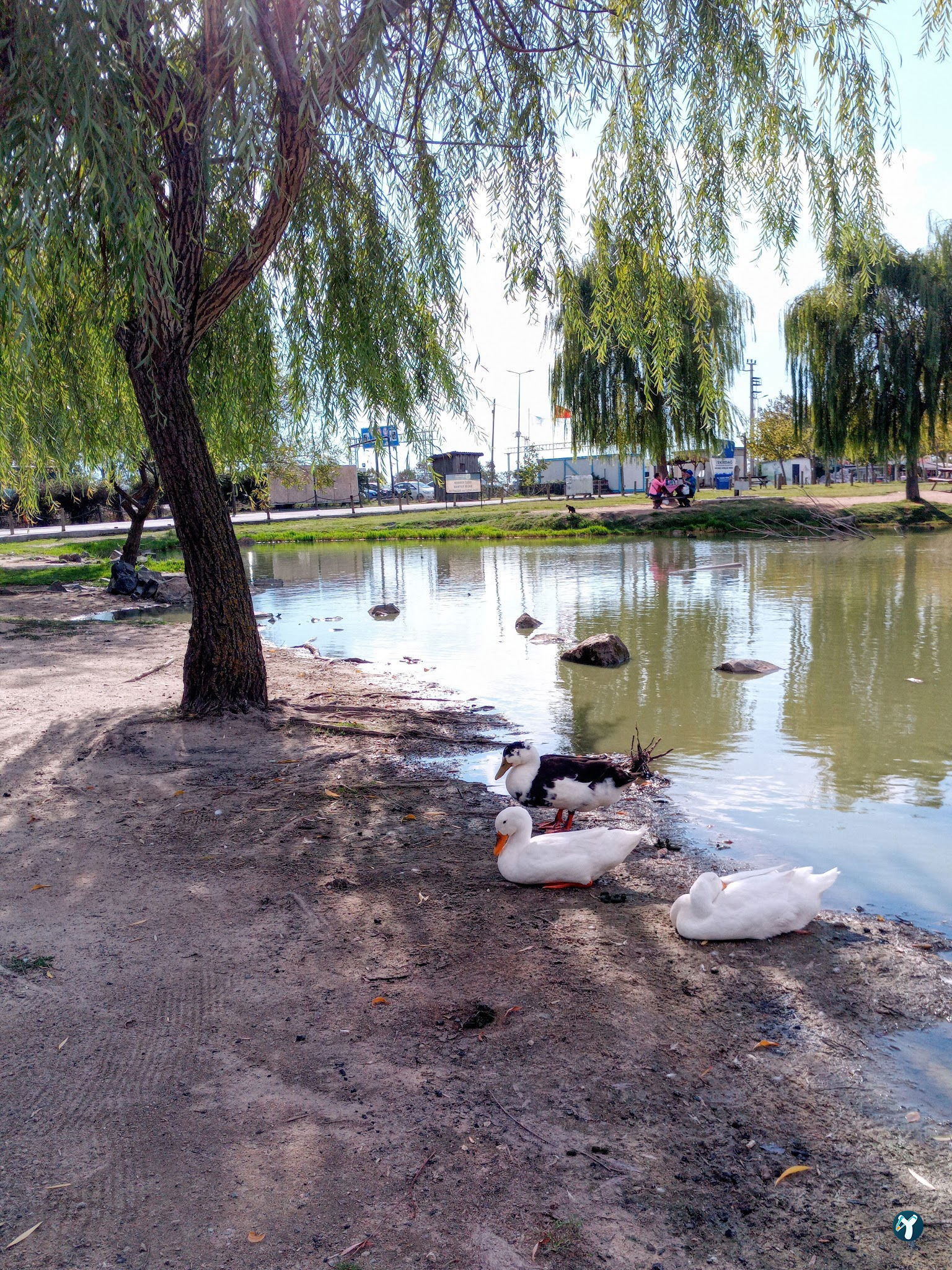 Gölbaşı Piknik Alanı