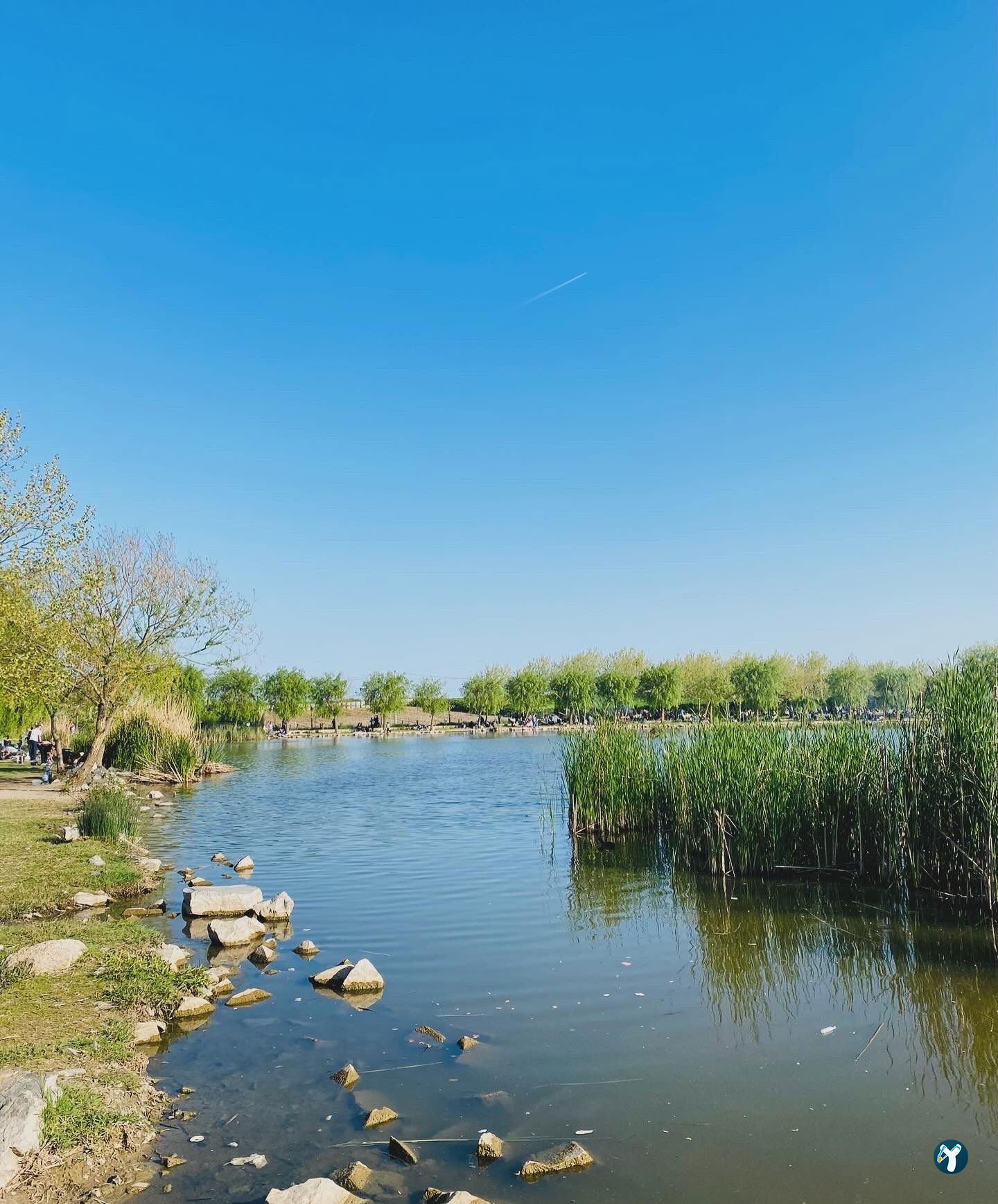 Gölbaşı Piknik Alanı