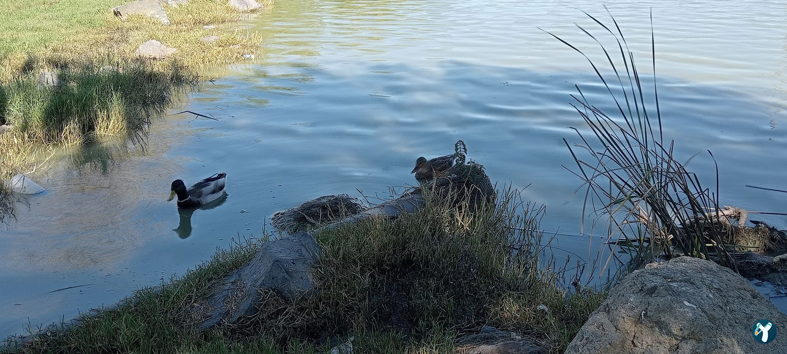 Gölbaşı Piknik Alanı