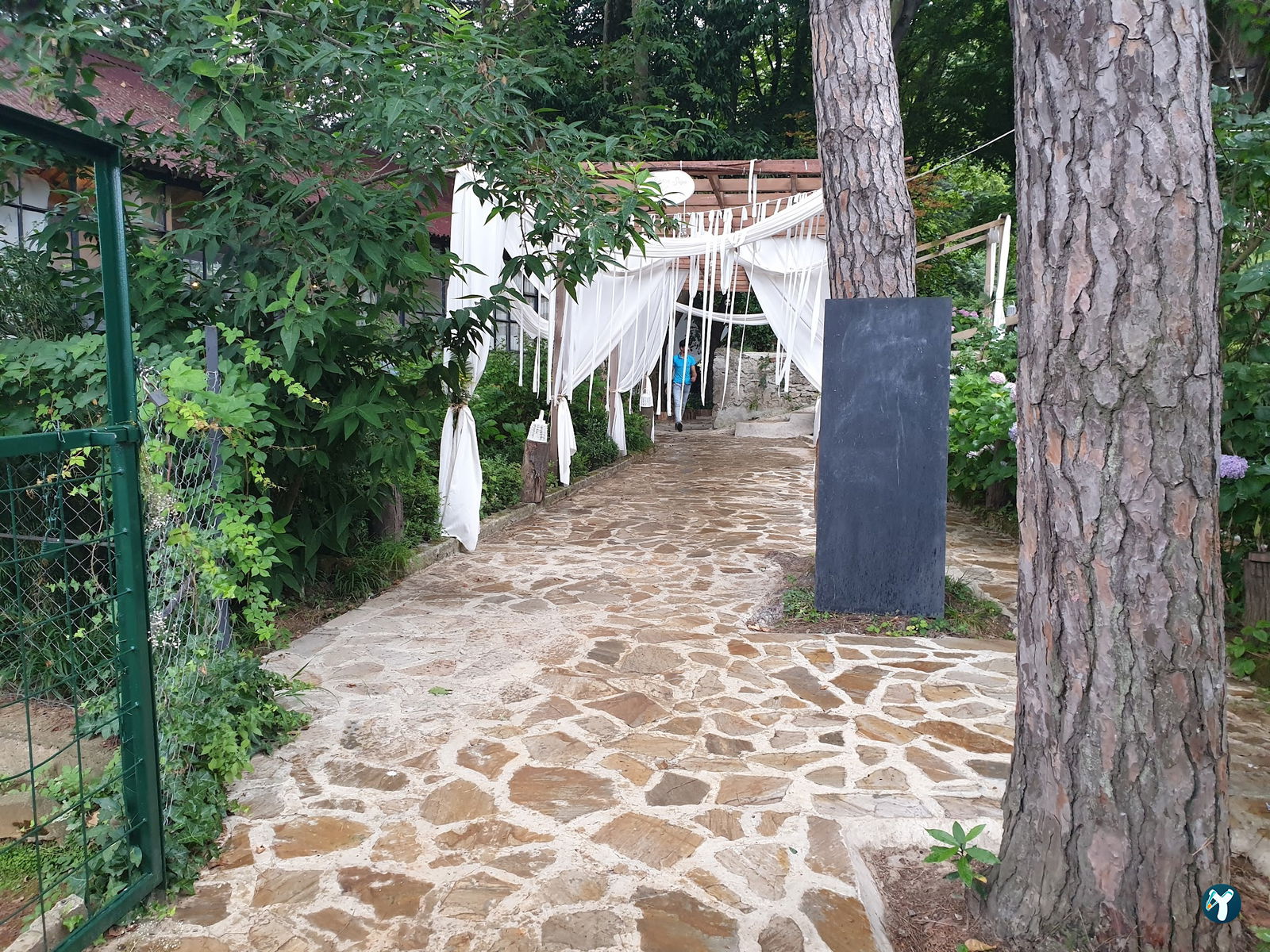 Sarıyer Korusu Plato