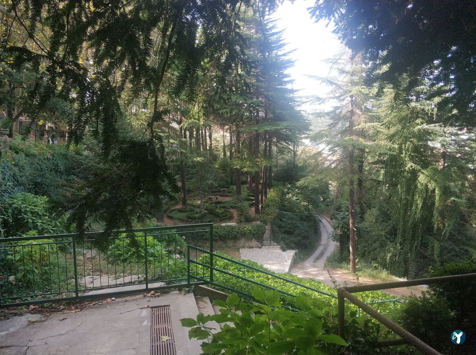 Sarıyer Korusu Plato