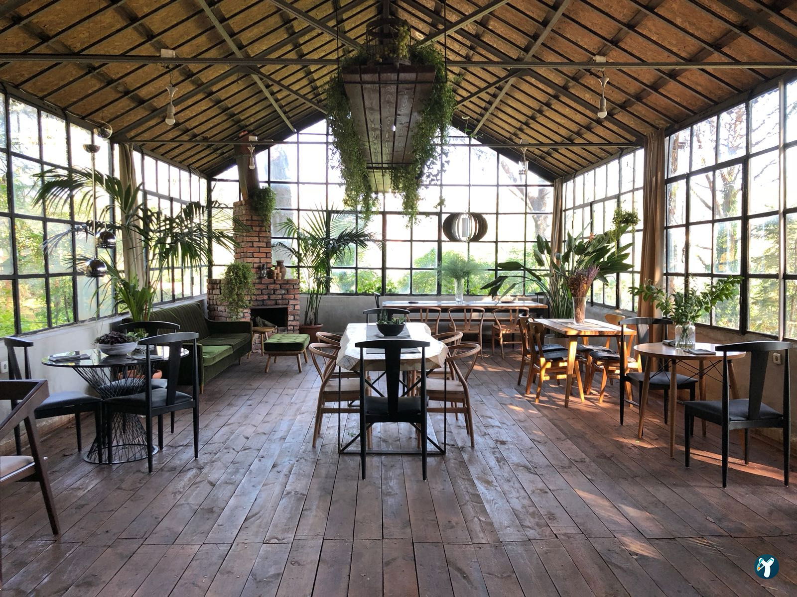 Sarıyer Korusu Plato
