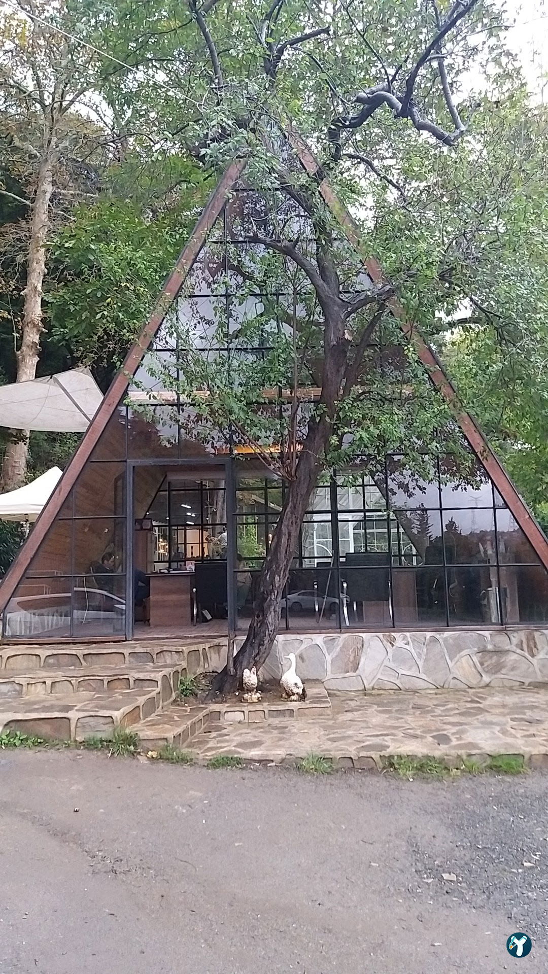 Sarıyer Korusu Plato
