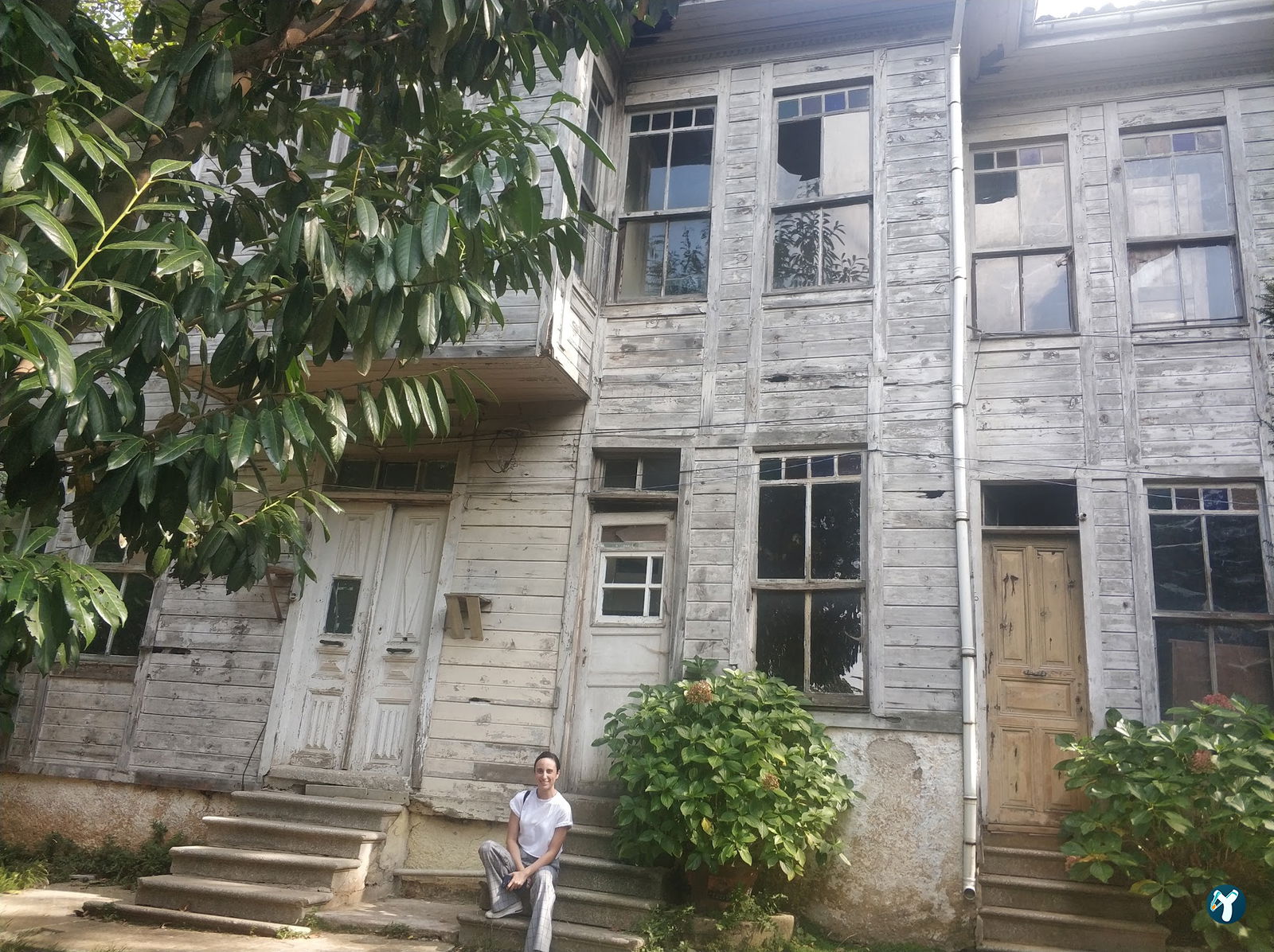 Sarıyer Korusu Plato