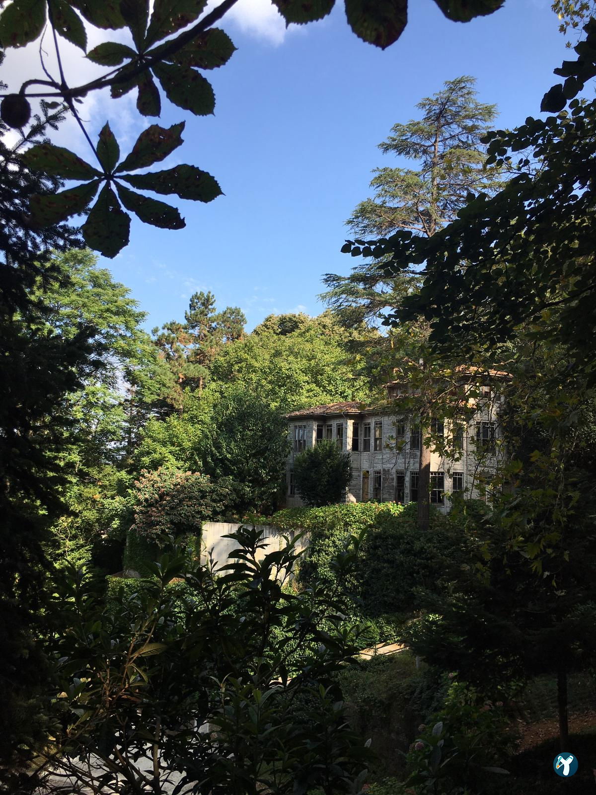 Sarıyer Korusu Plato