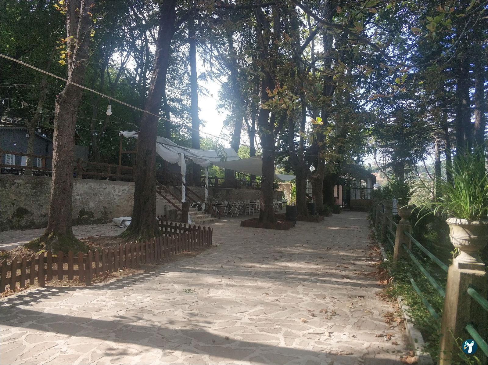 Sarıyer Korusu Plato