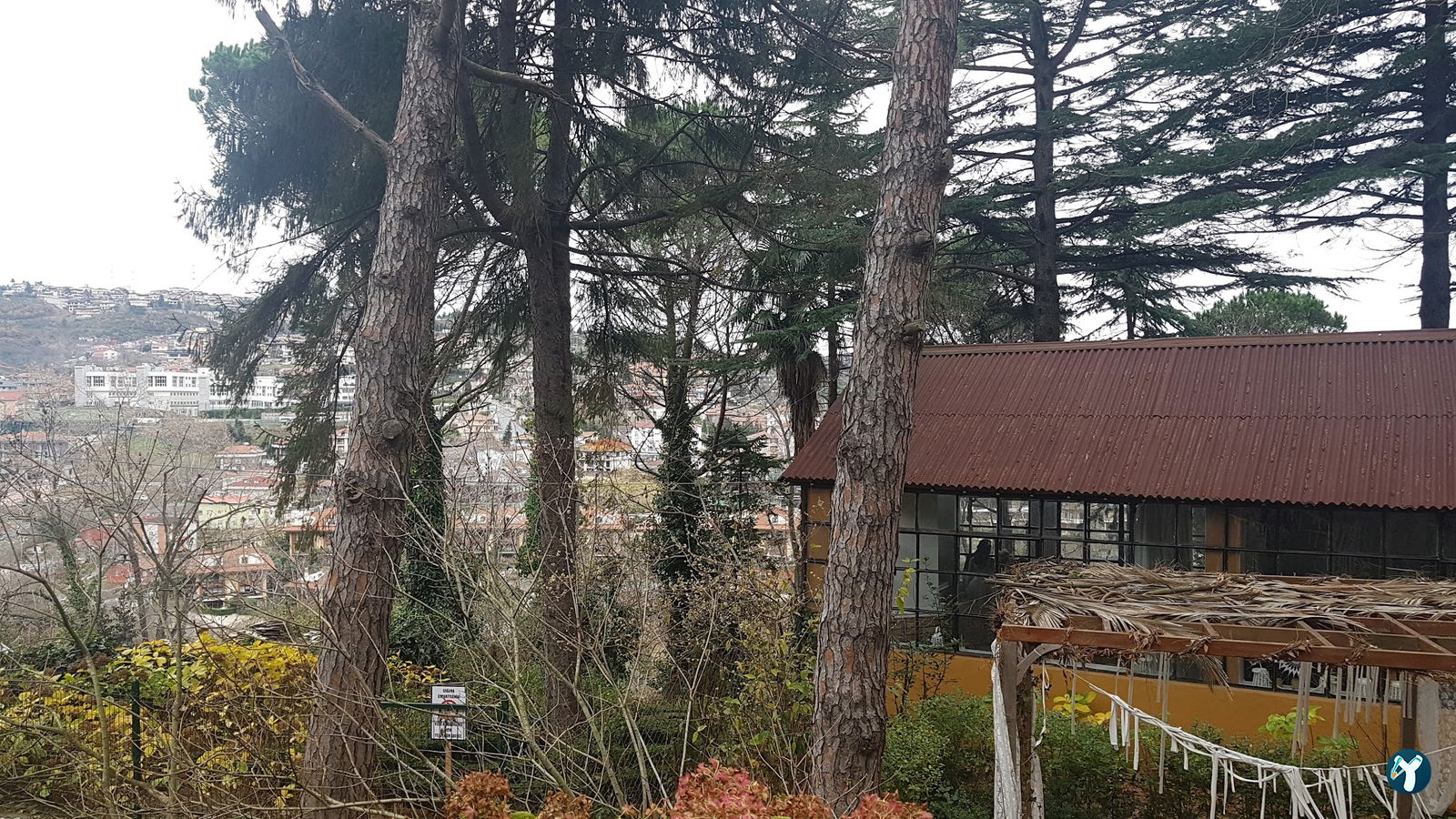 Sarıyer Korusu Plato