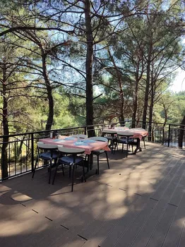 Karaçam ormanpark resimleri