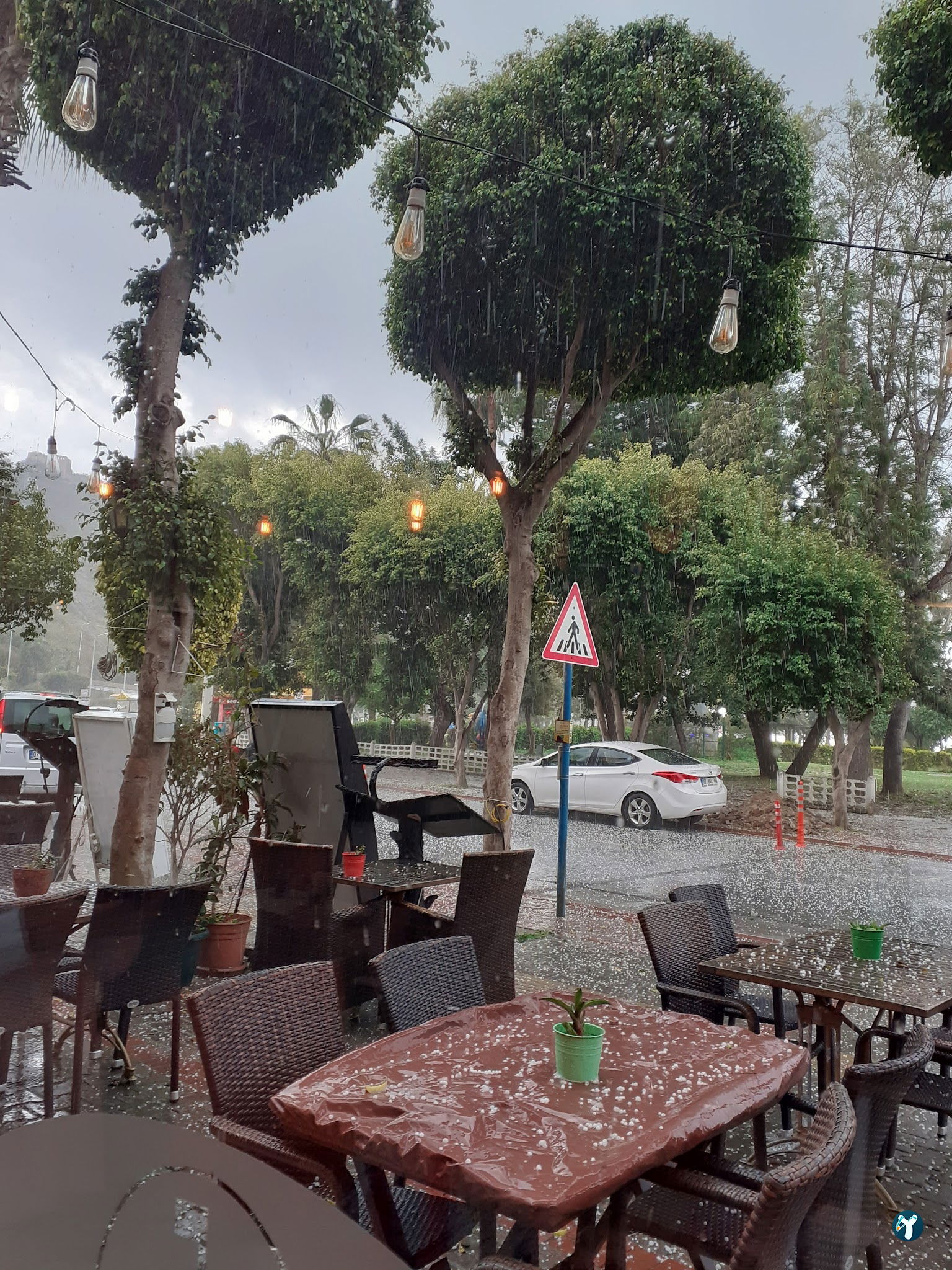 Istanbul Cafe Restaurant