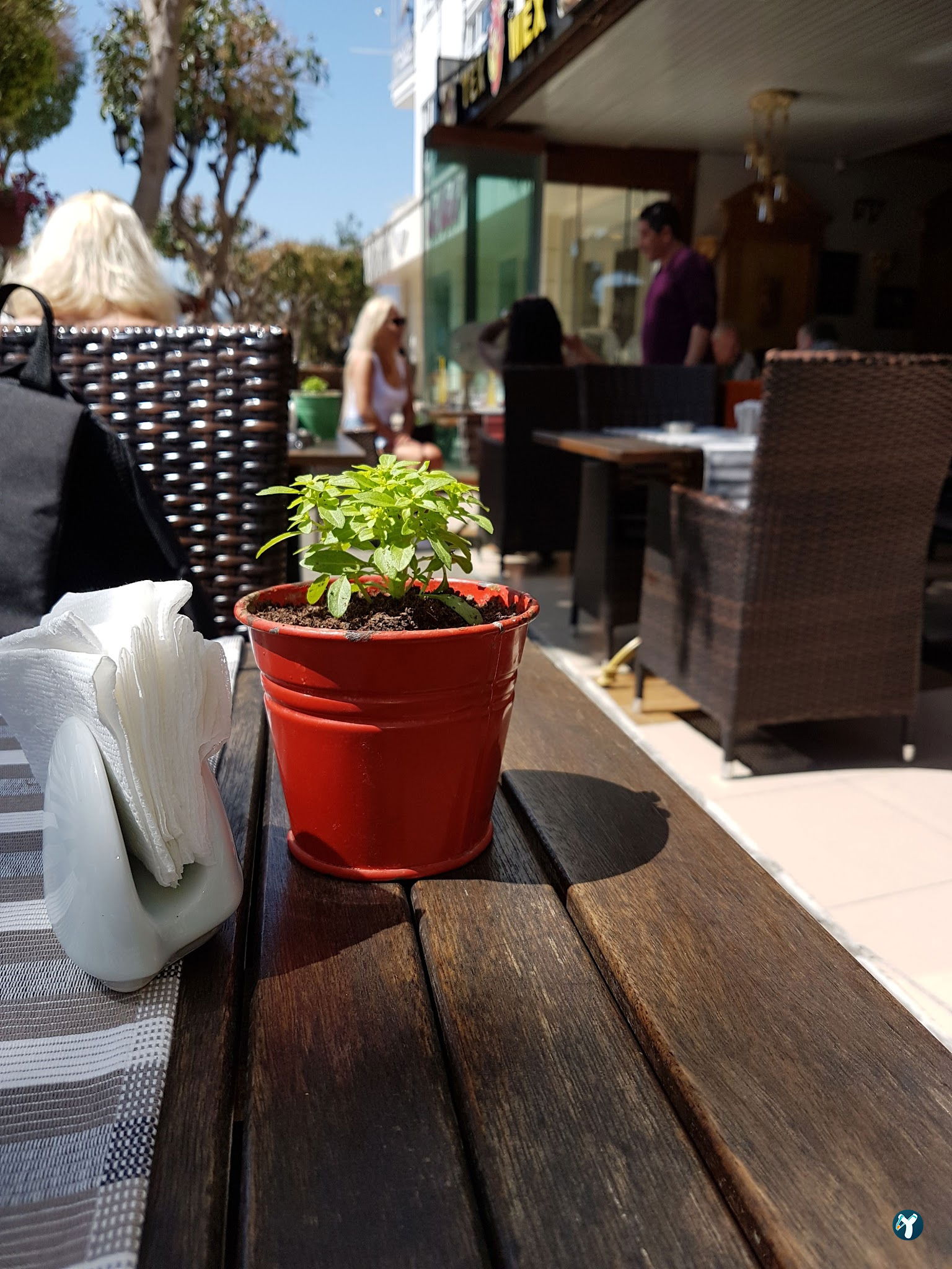 Istanbul Cafe Restaurant