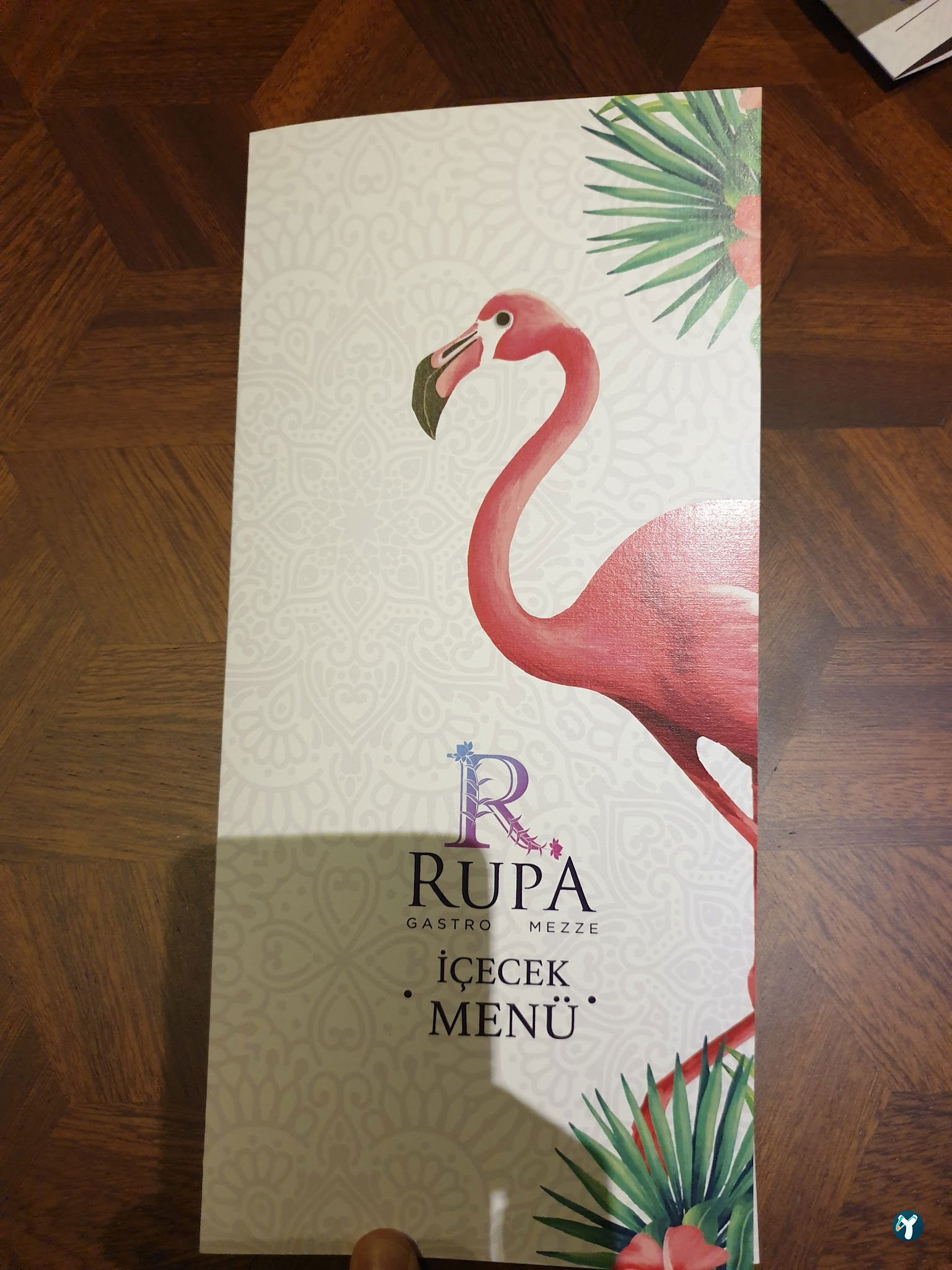 Rupa