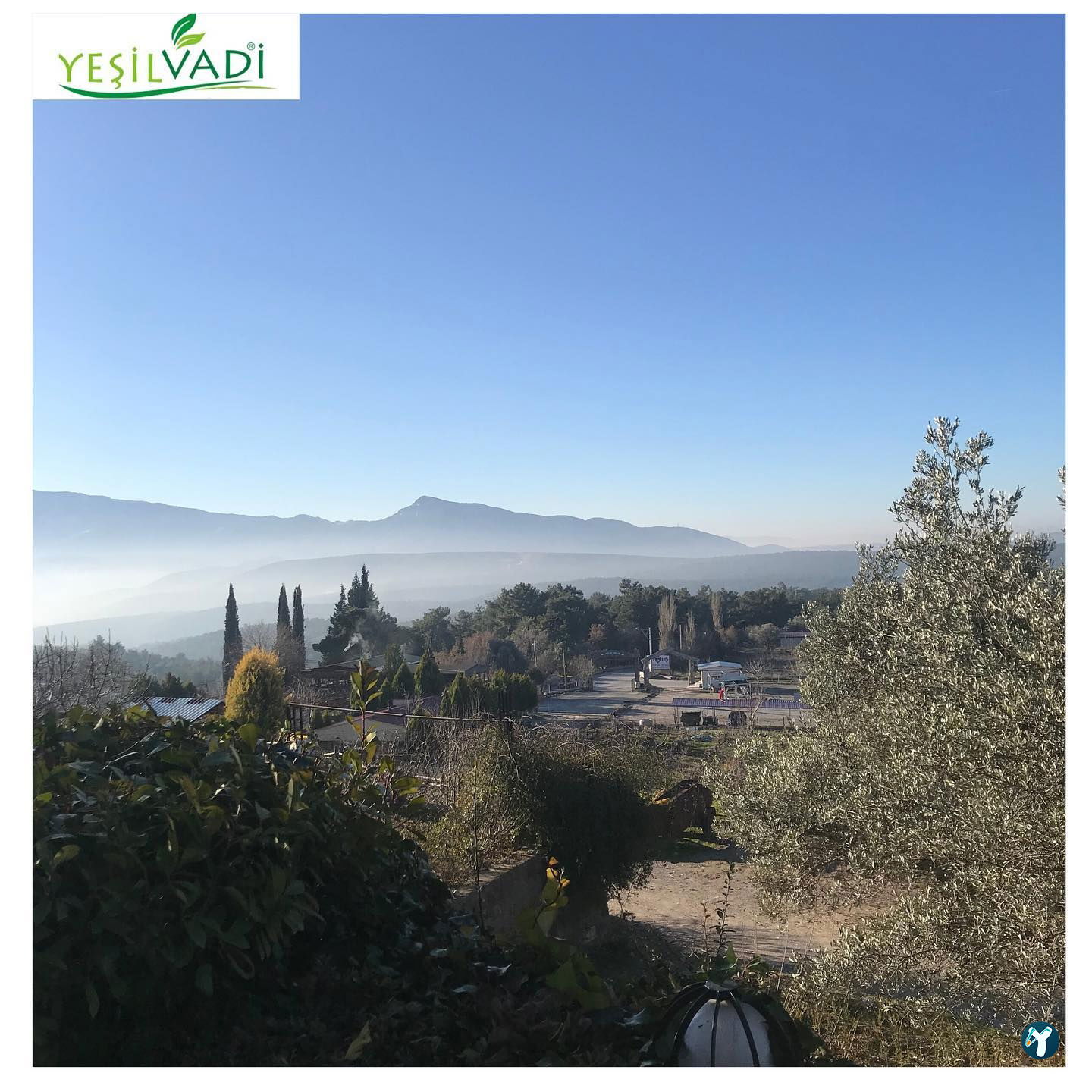 Yeşilvadi Kahvaltı Ve Et Mangal Restaurant