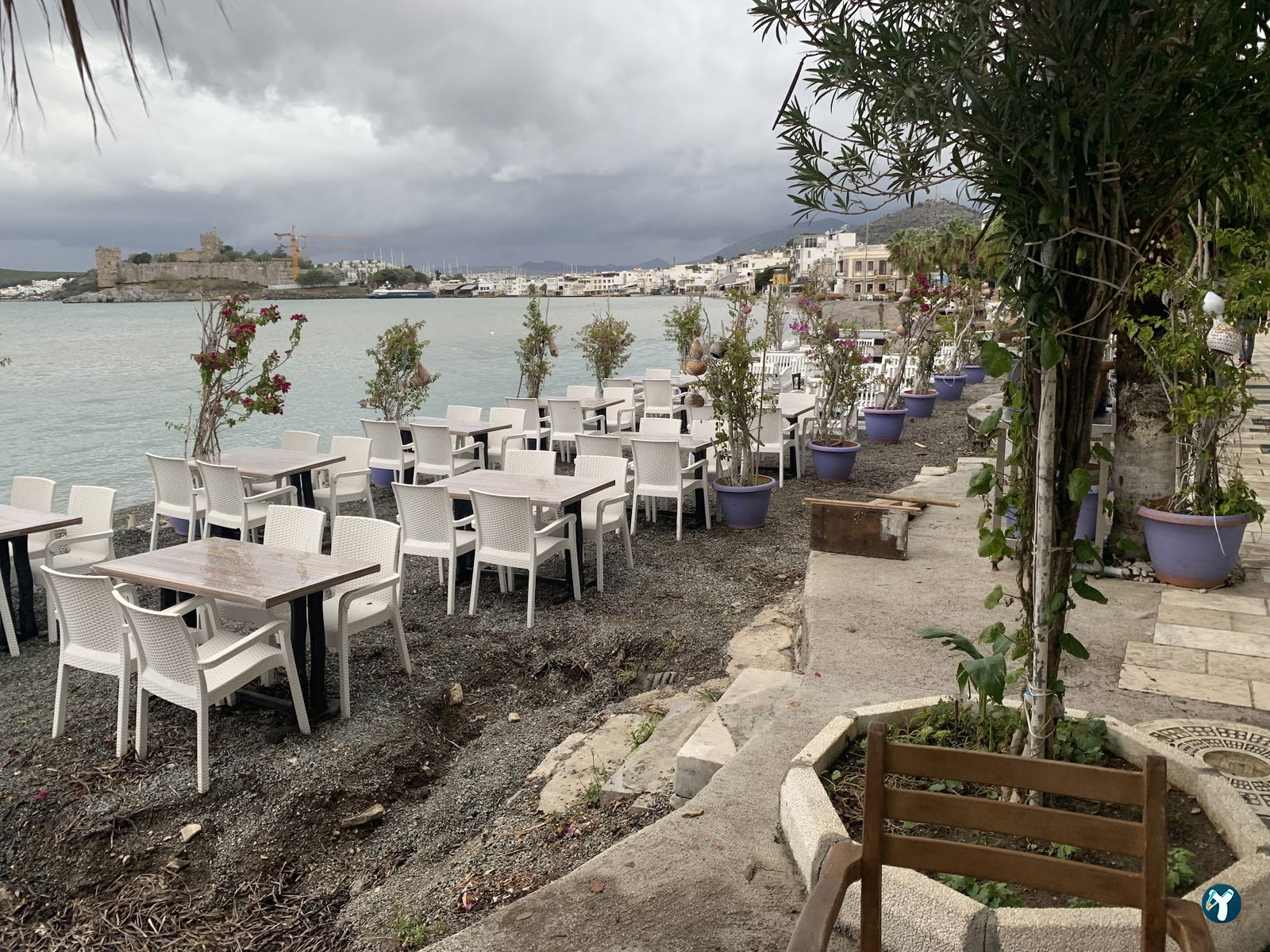 Penguen Cafe Restaurant