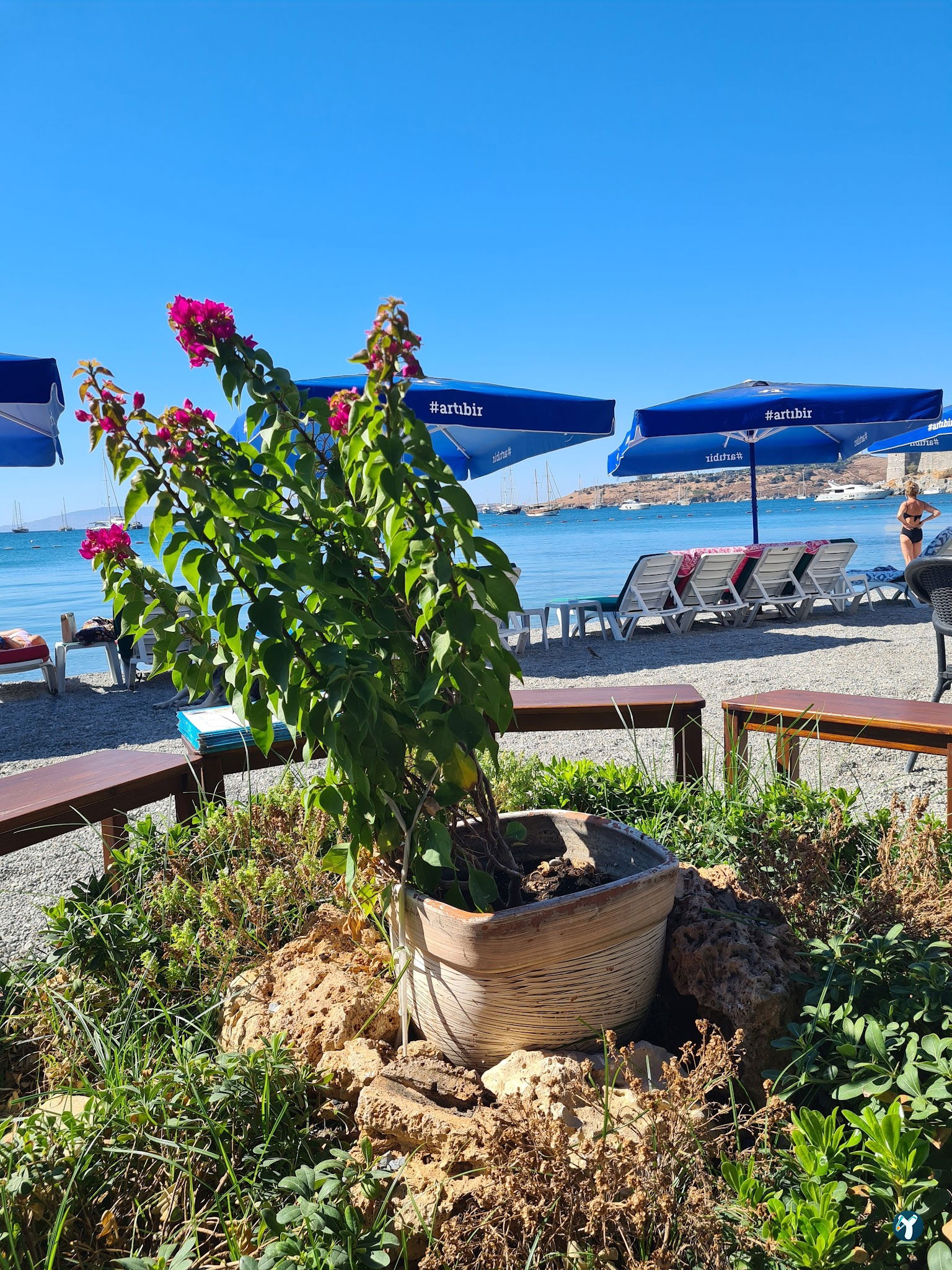 Penguen Cafe Restaurant