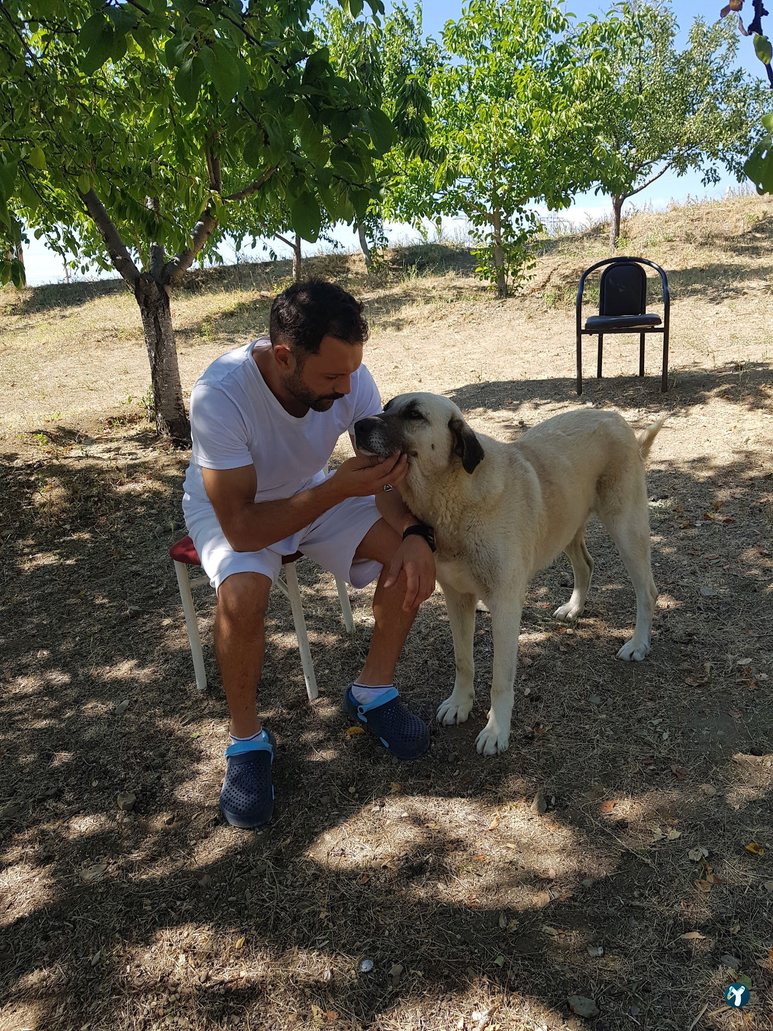Necati Hoca'Nın Yeri