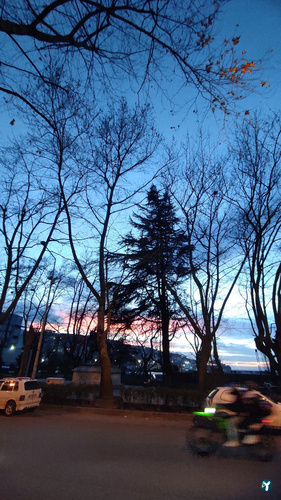 Sucuk Ve Et Dünyası