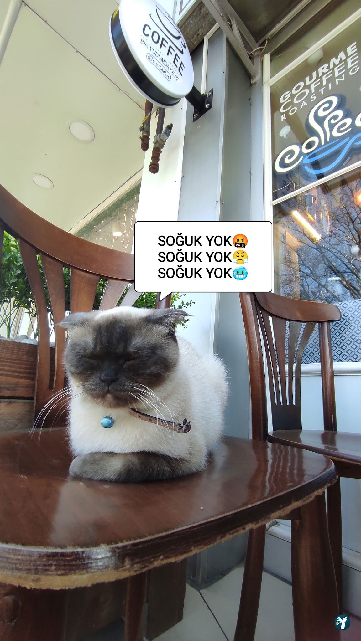 Sucuk Ve Et Dünyası