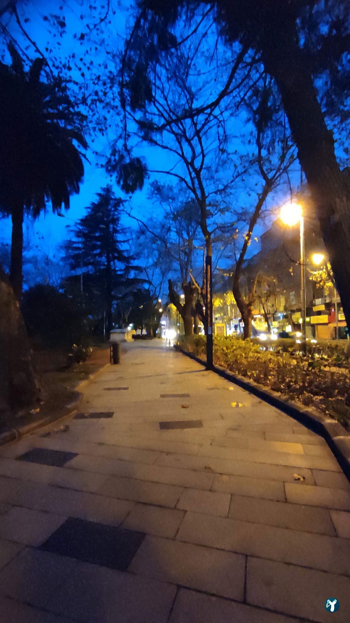 Sucuk Ve Et Dünyası