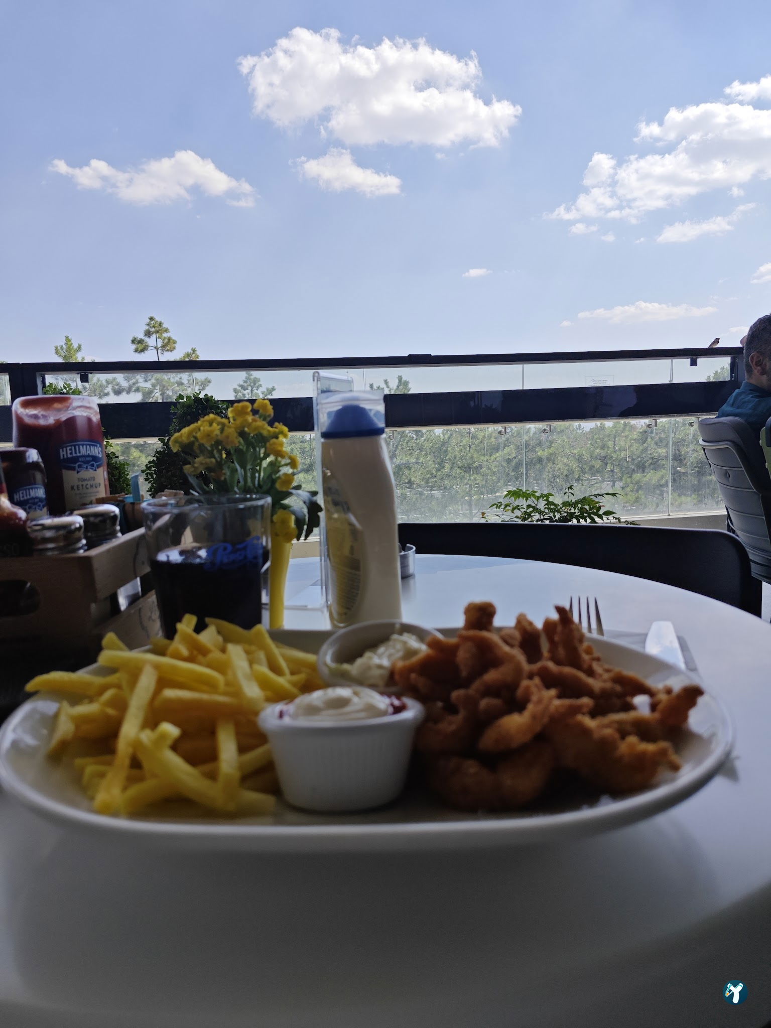 Timboo Cafe Kuzu Effect