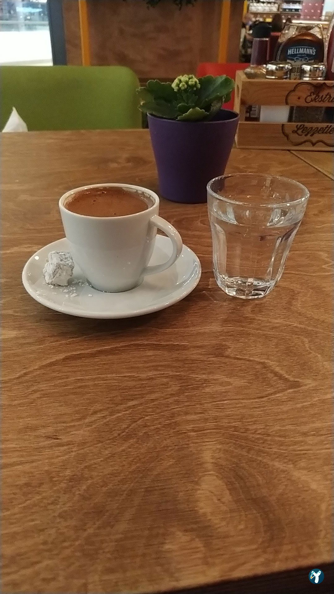 Timboo Cafe Kuzu Effect