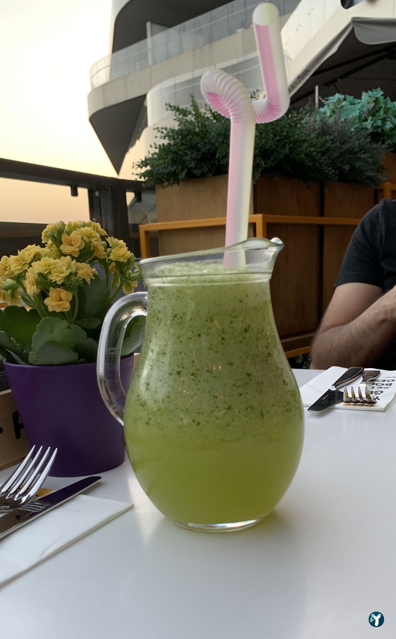 Timboo Cafe Kuzu Effect