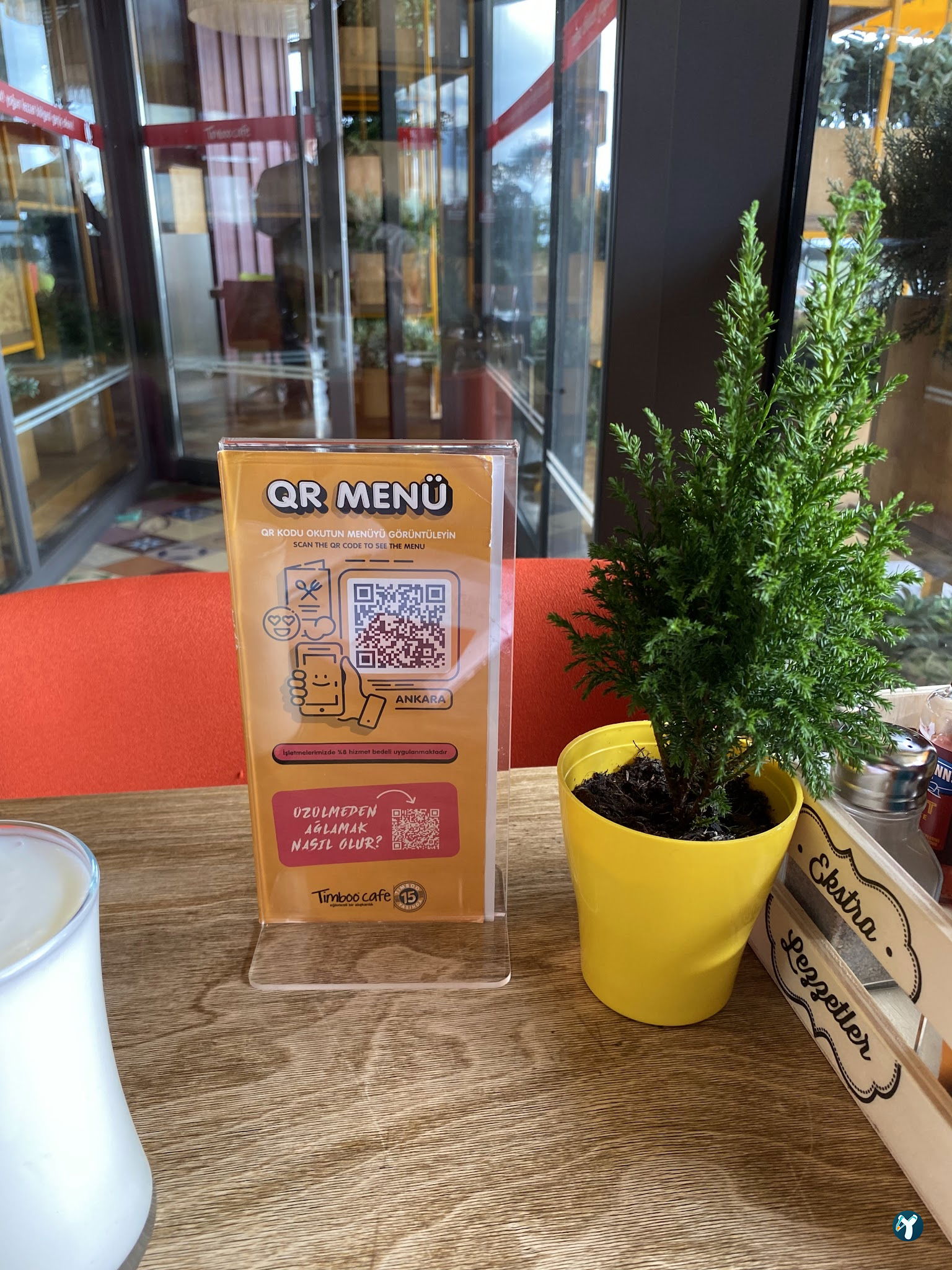 Timboo Cafe Kuzu Effect