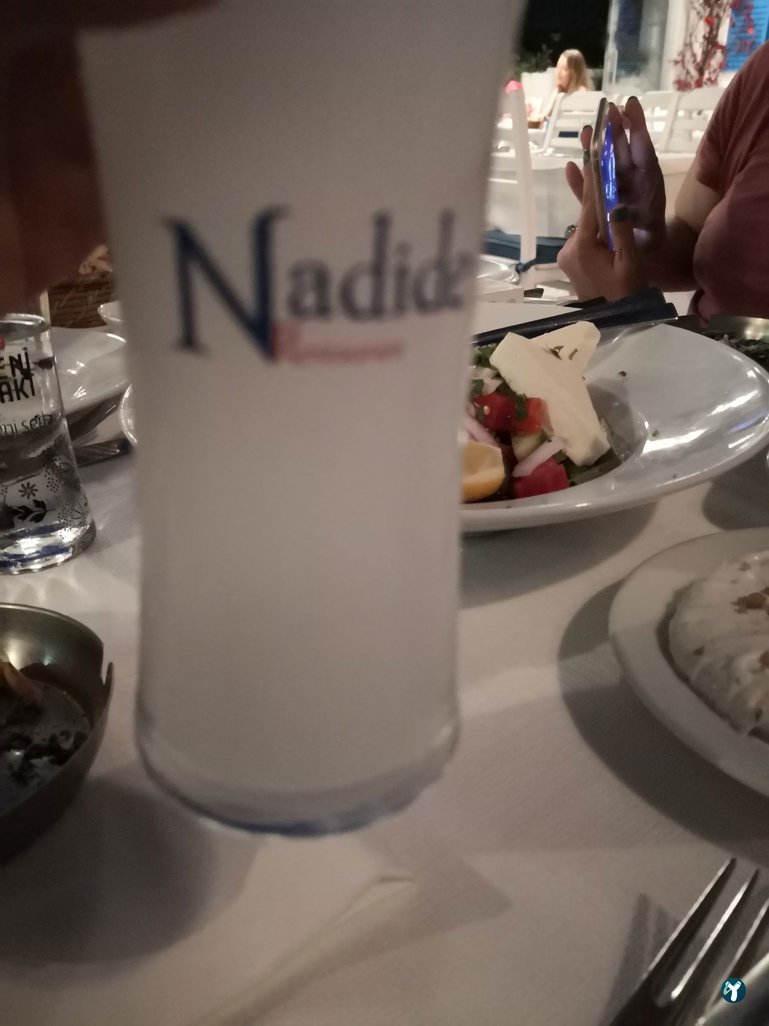 Nadide Meyhane