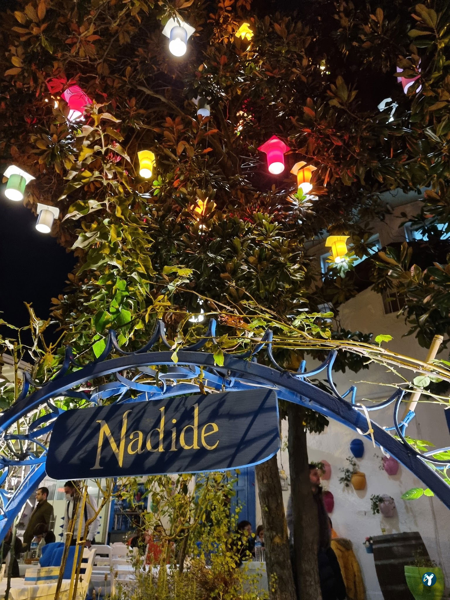 Nadide Meyhane