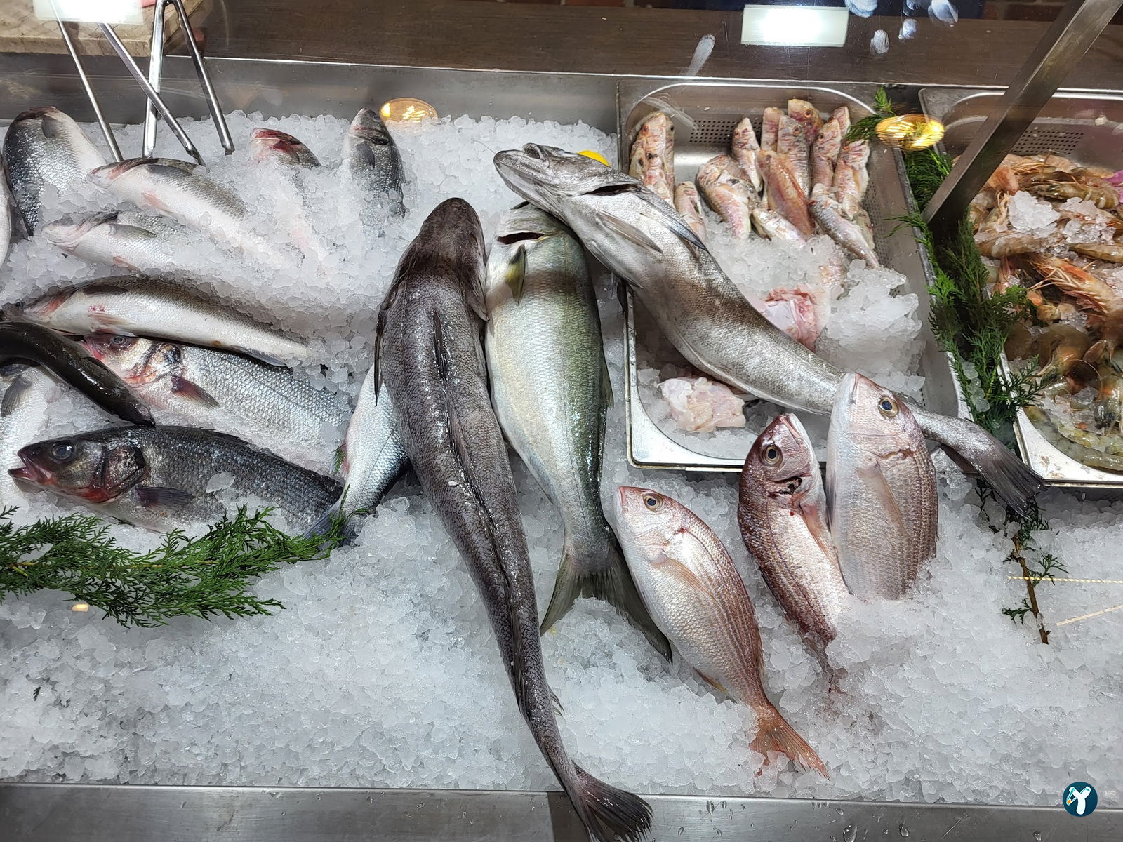 Çapa Restaurant