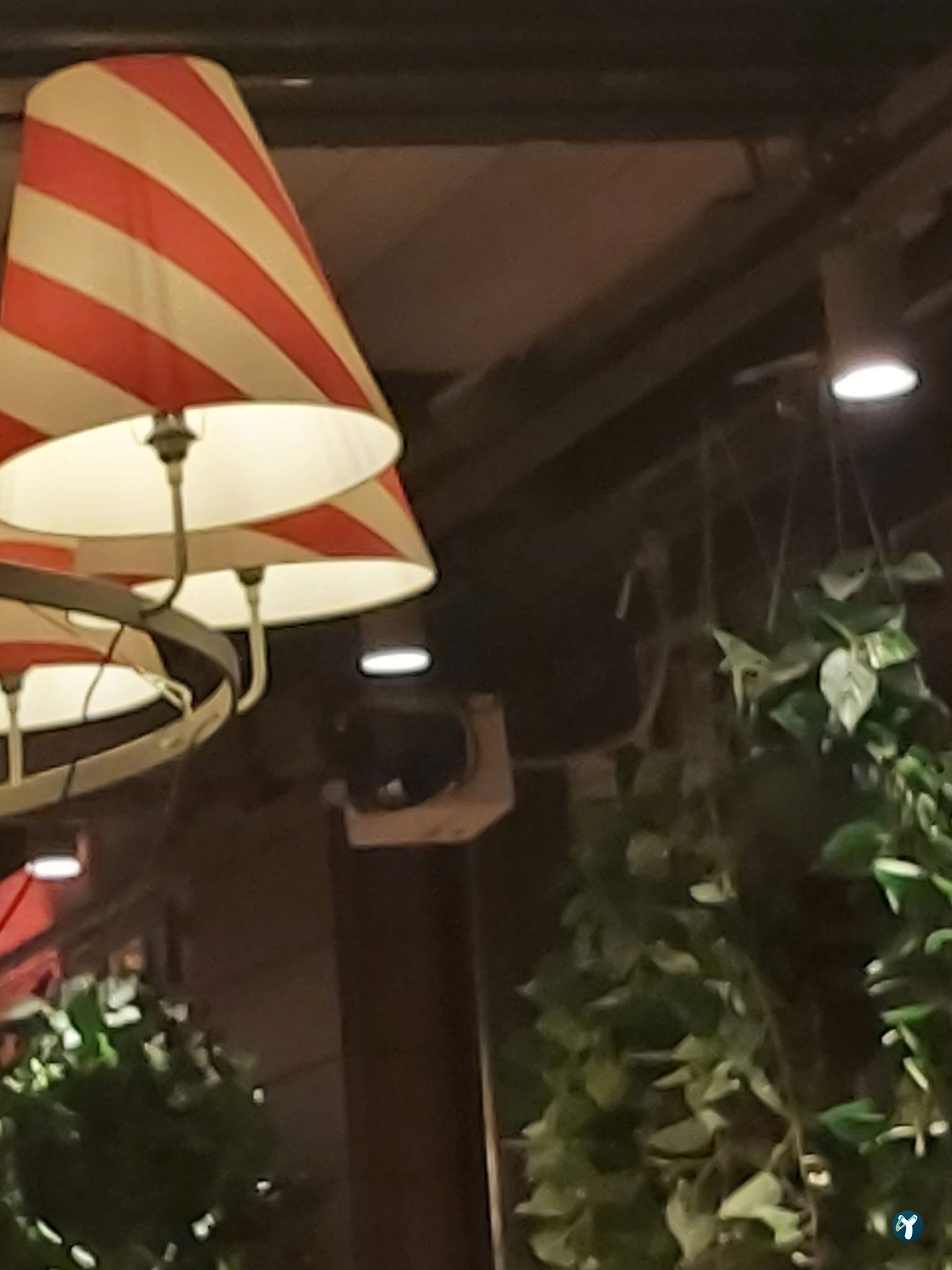 Chef Cello Cafe & Lounge