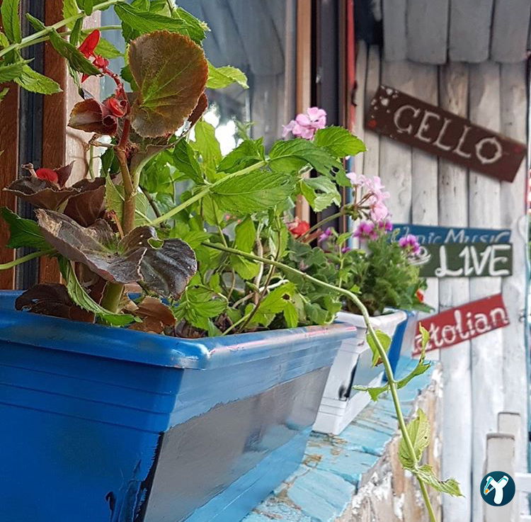 Cello Cafe Bar