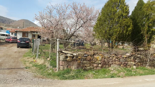 Gökler Köyü Harmanı resimleri