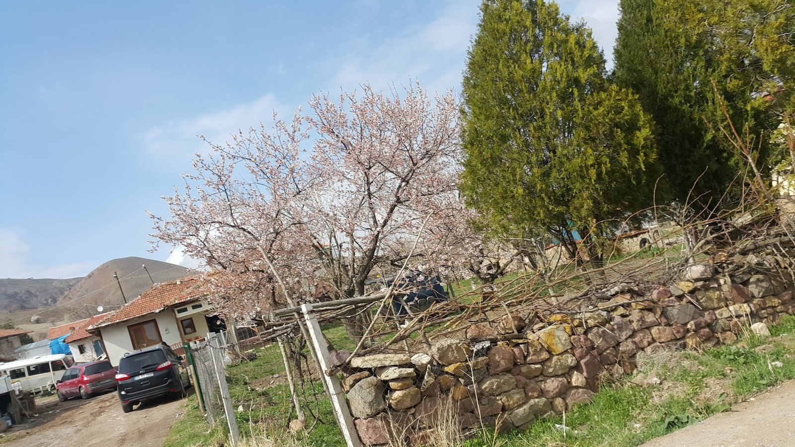 Gökler Köyü Harmanı